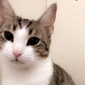 Meet your Posher, Ramona